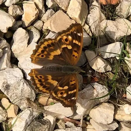 Gæstehus Moulin De L'hoste