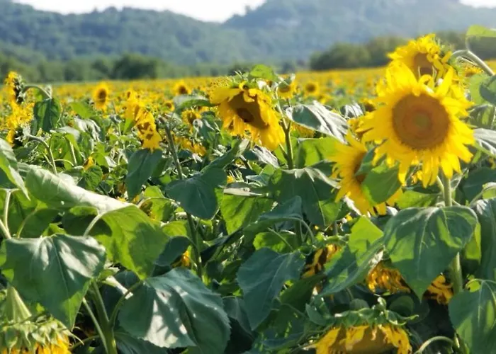 Penzion Moulin De L'hoste