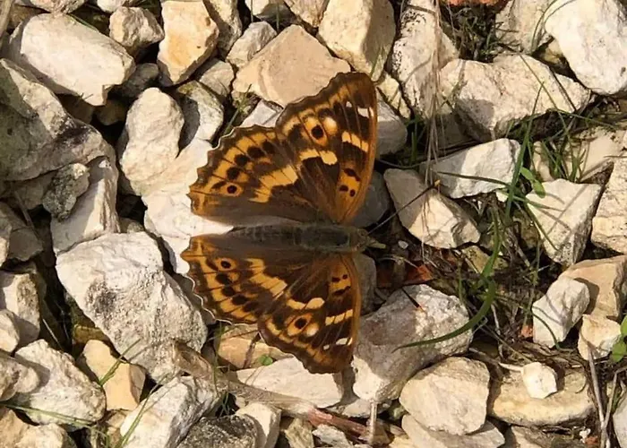 Penzion Moulin De L'hoste