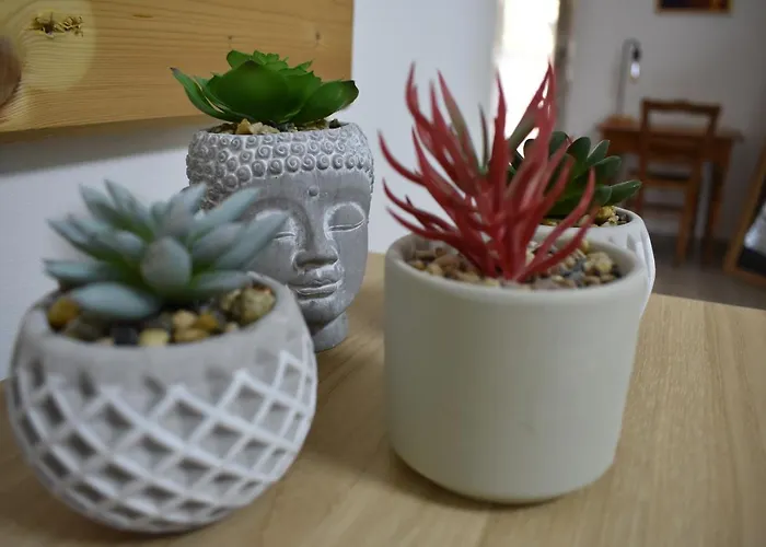 Moulin De L'hoste Larzac